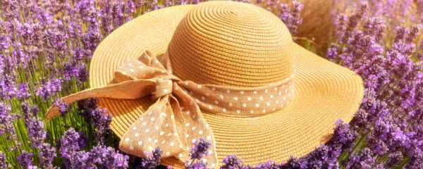 Chapeaux en Provence