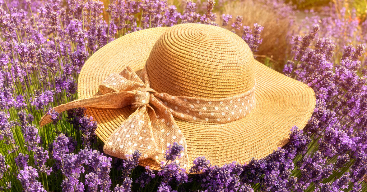 Chapeaux en Provence
